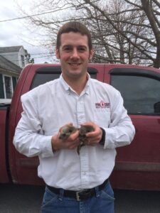 A Pine State Pest Solutions technician holding two baby wildlife animals, demonstrating humane wildlife control in Auburn, ME.