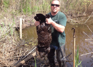 A Wildlife Removal Pro Utica, NY, technician holding a removed beaver from a watery area.