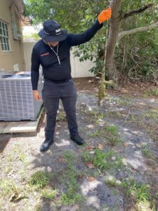 A Sure Shot Pest Solutions technician holding a large frog removed during a wildlife control service in Fort Lauderdale, FL.