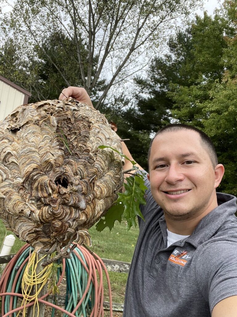 A Bye Bye Pest Solutions technician proudly holding a very large wasp nest after removal in Hanover, PA.