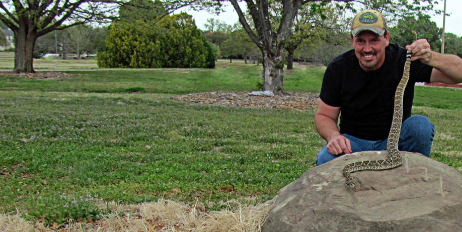 A Putnam Pest Service technician safely holding a rattlesnake during a wildlife removal job in Lawton, OK.