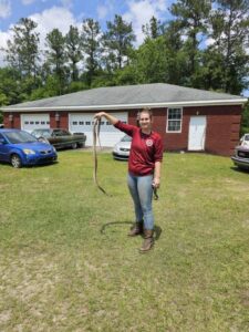 A technician proudly holding a removed snake, showcasing successful wildlife control by Varmint Eviction Wildlife Removal Services in Tallahassee, FL.