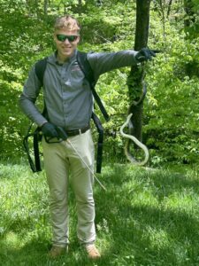 A Reliable Pest Management technician holding two snakes after a wildlife removal job in a wooded area in Springfield, MO.