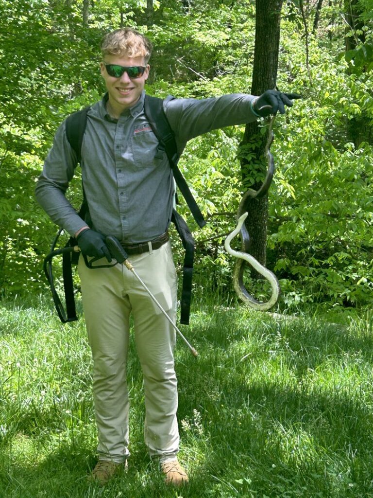 A Reliable Pest Management technician holding two snakes after a wildlife removal job in a wooded area in Springfield, MO.