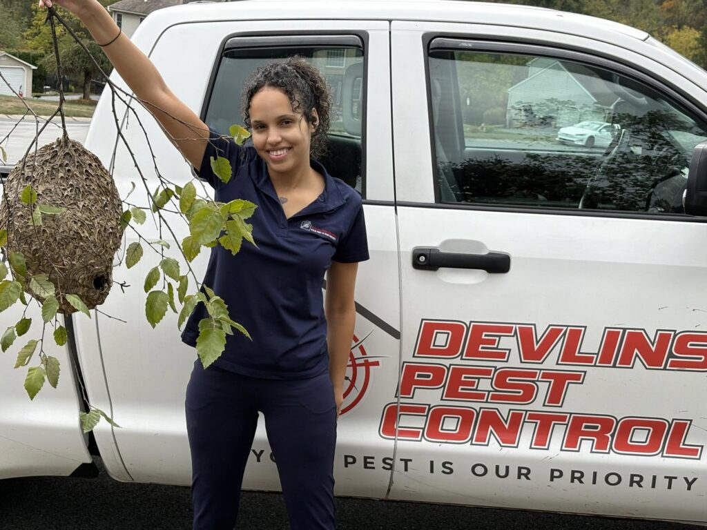 A Devlins Pest Control technician holding a removed wasp or hornet nest next to a company truck in Reading, PA.