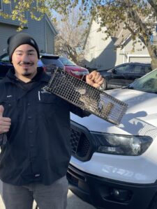 A technician from AAAC Wildlife Removal of Kansas City holding a trap with a captured animal in Overland Park, KS.