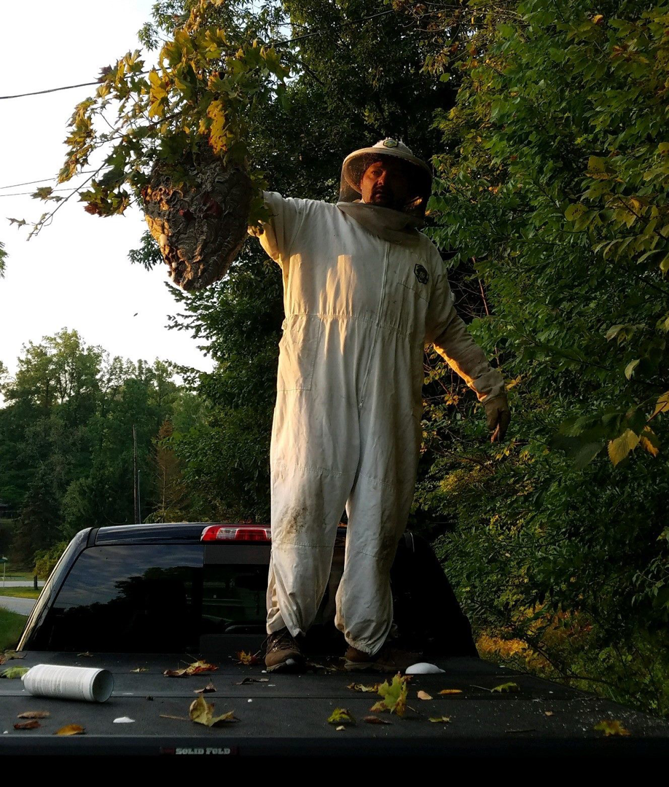 A pest control technician in a protective bee suit holding a large hornet nest removed by Akron Pest Control in Akron, OH.