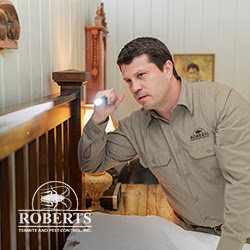 A pest control technician performing an indoor inspection with a flashlight for Roberts Termite & Pest Control in Austin, TX