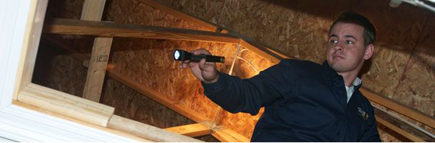 A Nature's Finest technician inspecting an attic with a flashlight for signs of pests or wildlife in Tallahassee, FL.