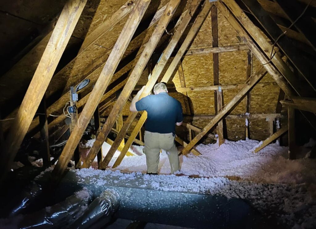 A Sustainable Pest Systems technician inspecting an attic for signs of pests or wildlife in Raleigh, NC.