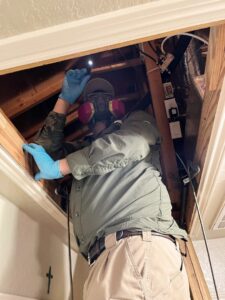 A pest control technician from Rat King Pest Control inspecting an attic with a flashlight in San Antonio, TX.