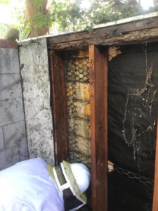 A pest control technician inspecting the site after bee removal from a wall cavity by Benchmark Pest Control in Bakersfield, CA.