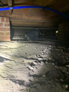 A technician from All Star Pest Control inspecting a crawl space under a house in Columbus, GA