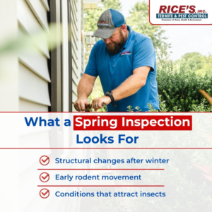 A technician inspecting the siding of a house for pests at Rice's, Inc. Termite & Pest Control in Salisbury, MD