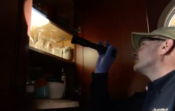A technician from Omega Termite and Pest Control in Oakland, CA, inspecting a kitchen cabinet with a flashlight for signs of pests.