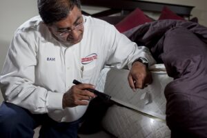 A pest control technician inspecting a mattress with a flashlight for pests for American Pest Management in Saint Petersburg, FL.