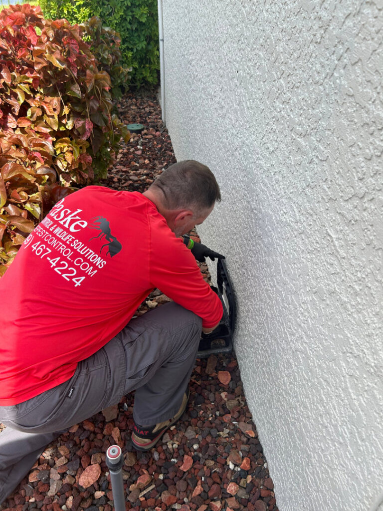 A Paske Pest Control & Wildlife Solutions technician inspecting a pest bait station near a building foundation in Cape Coral, FL.