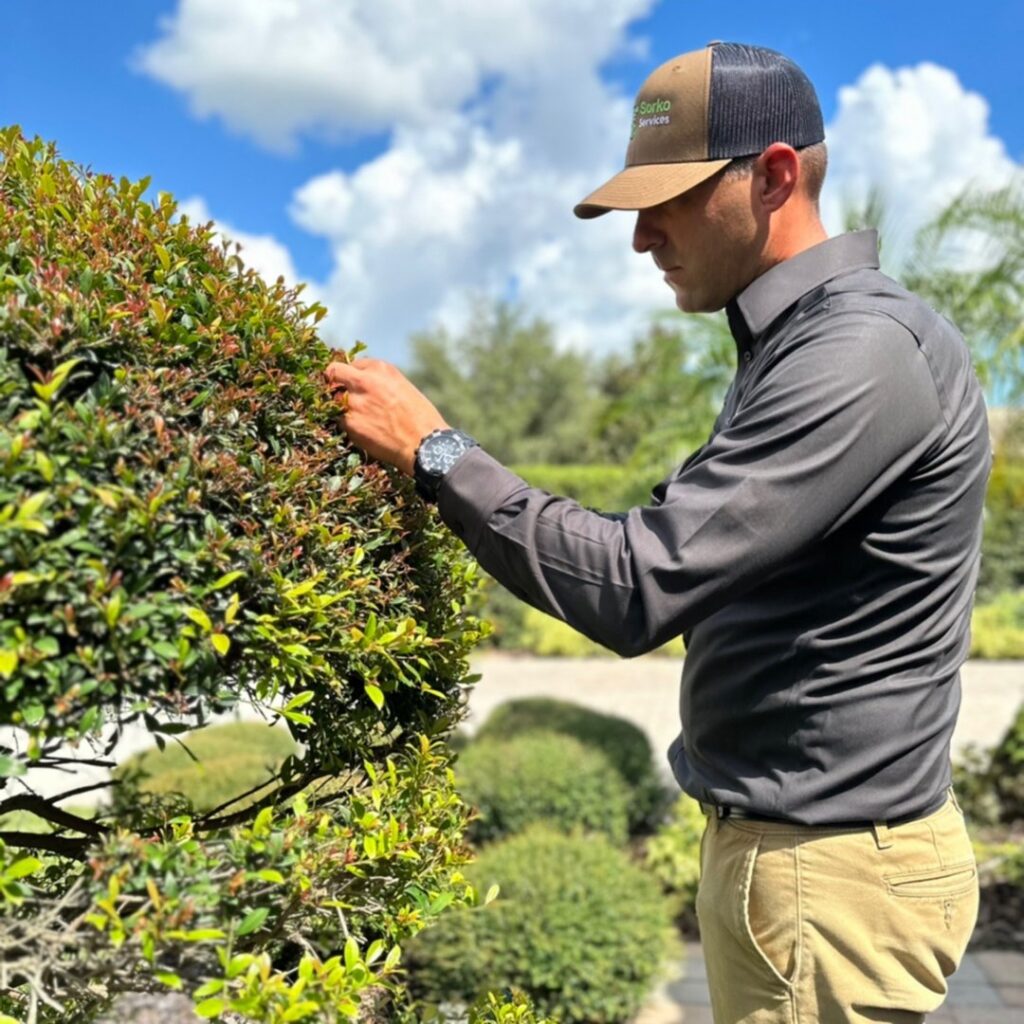 A Sorko Services technician inspecting plants and shrubs for pests or disease in Sanford, FL.