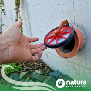 A Natura Pest Control technician inspecting a rodent exclusion device on a pipe in Boise, ID.