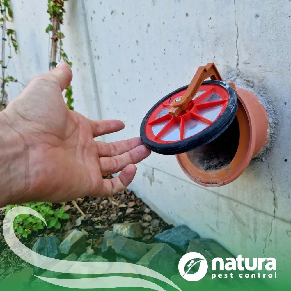 A Natura Pest Control technician inspecting a rodent exclusion device on a pipe in Boise, ID.