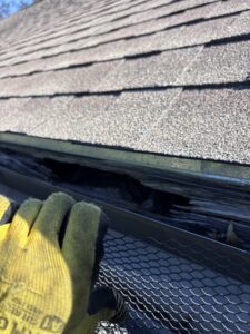 A gloved technician inspecting a roof gutter for signs of pest activity or entry points for Texas Rodent Control in San Antonio, TX.