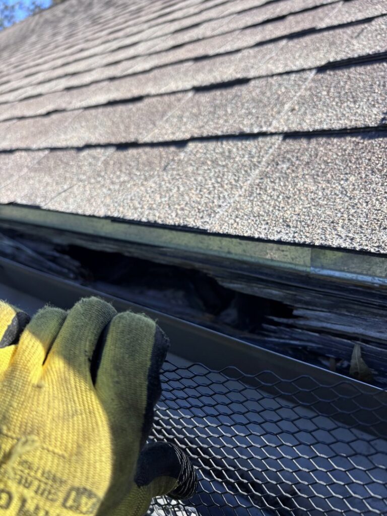 A gloved technician inspecting a roof gutter for signs of pest activity or entry points for Texas Rodent Control in San Antonio, TX.