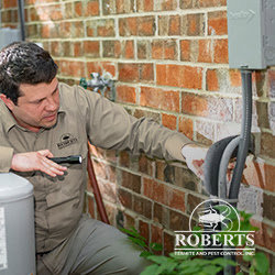 A pest control technician inspecting a utility area on a brick house with a flashlight for Roberts Termite & Pest Control in Austin, TX