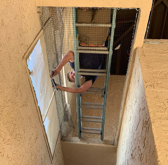A technician installing bird exclusion netting in an enclosed area, a specialized service from Pigeon Control Phoenix AZ in Glendale, AZ.