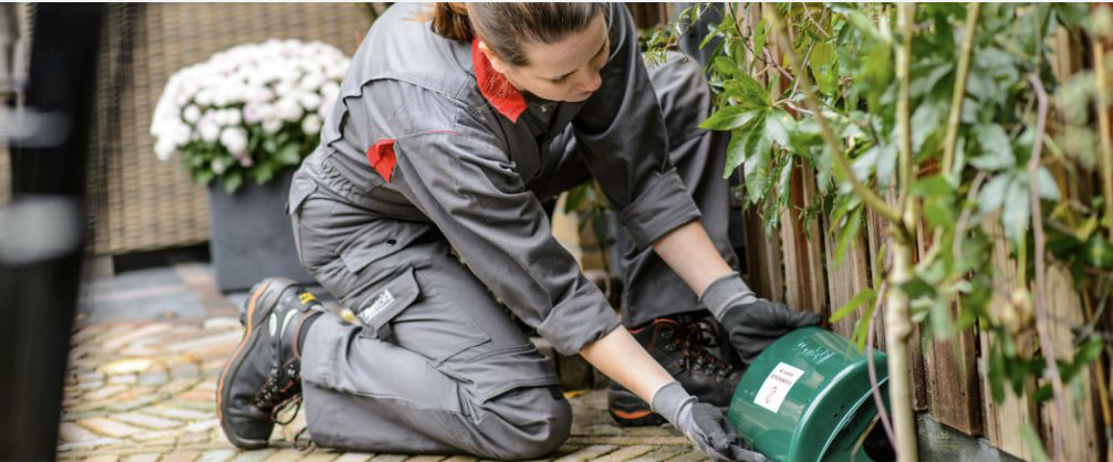 A pest control technician installing a green bait station near a fence for pest management by Midwest Pest Control in East Peoria, IL.