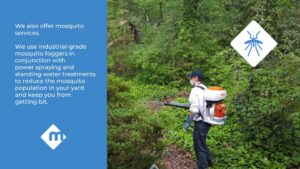 A Moxie Pest Control Bentonville technician performing mosquito fogging in a wooded area in Springdale, AR.