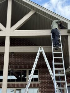 A D&K Pest Control and Wildlife Removal, LLC technician on a ladder performing exclusion or repair work in Woodridge, IL