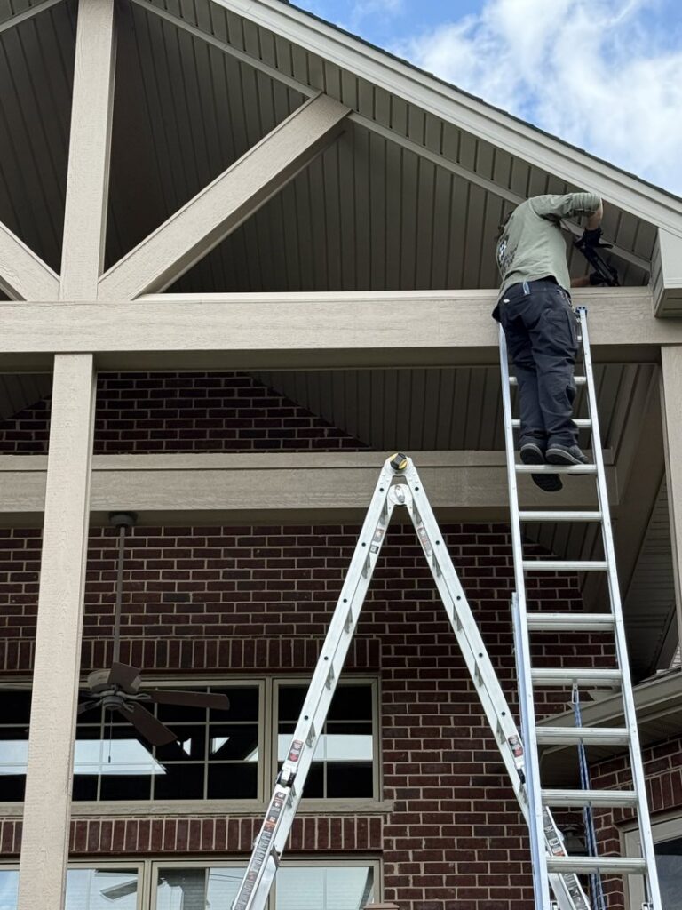 A D&K Pest Control and Wildlife Removal, LLC technician on a ladder performing exclusion or repair work in Woodridge, IL