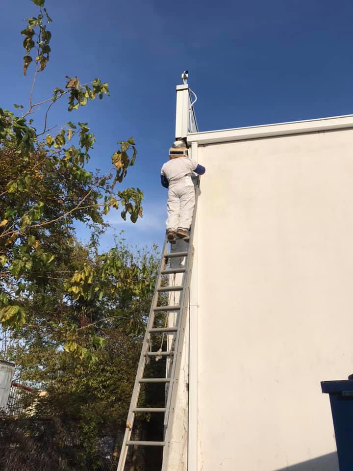 A pest control technician in a protective suit on a ladder, working on a building for Ace Services of NW La, LLC in Bossier City, LA