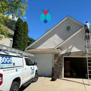 A BOGO Pest Control technician on a ladder inspecting or treating a house for pests in Wayzata, MN.