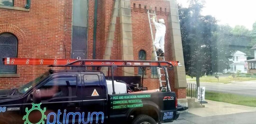 A pest control technician in a white suit on a ladder working on a brick building, with an Optimum Pest Pros, LLC. truck nearby in Canandaigua, NY.