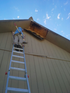 A technician on a ladder removing a damaged eave, likely for wildlife exclusion, by Southwest Pest Solutions in Tucson, AZ