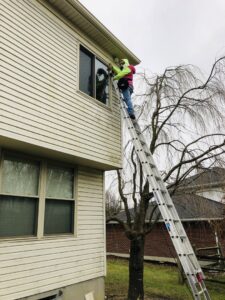 A technician on a ladder performing wildlife exclusion or inspection work on the side of a house for ARC Animal Removal & Control in Cincinnati, OH.
