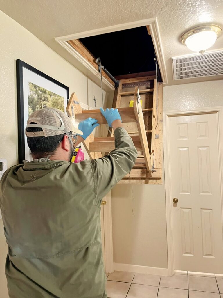 A pest control technician from Rat King Pest Control opening an attic access ladder for inspection in San Antonio, TX.