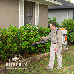 A pest control technician performing outdoor spraying with a backpack sprayer for Roberts Termite & Pest Control in Austin, TX