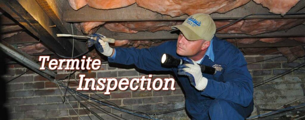 A technician performing a termite inspection in an attic or crawl space for Curry's Termite, Pest & Animal Control in Little Rock, AR