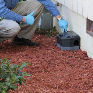 A technician placing a pest bait station next to a house for Curry's Termite, Pest & Animal Control in Little Rock, AR