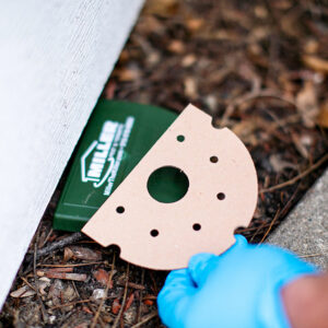 A Miller Pest & Termite technician placing a pest bait station near a house foundation in Kansas City, MO