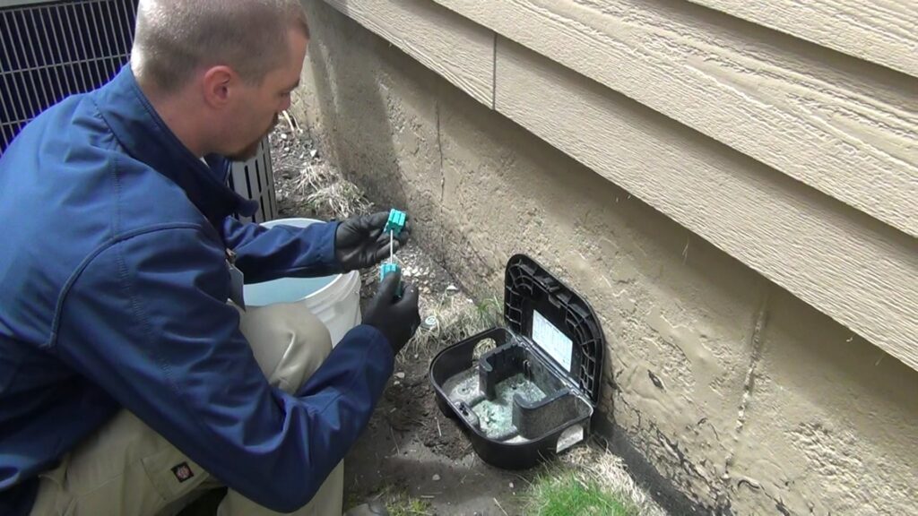 A technician placing a rodent bait station next to a house foundation for Springer Professional Home Services in Des Moines, IA.