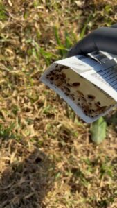 A Sure Shot Pest Solutions technician placing a rodent bait station for pest control services in Fort Lauderdale, FL.