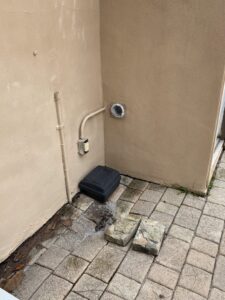 A Sure Shot Pest Solutions technician pointing towards wildlife near a trap during a control job in Fort Lauderdale, FL.