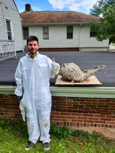 A SMART Exterminators technician in a protective suit standing next to a large removed wasp nest, showcasing wildlife control services in Cleveland, OH.
