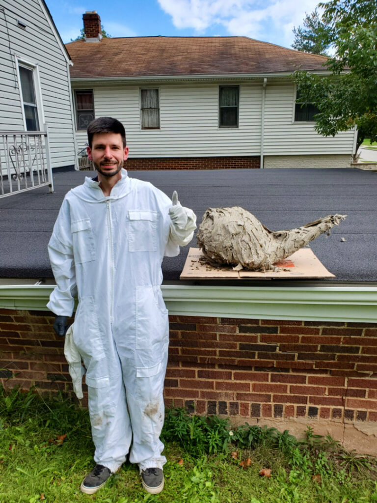 A SMART Exterminators technician in a protective suit standing next to a large removed wasp nest, showcasing wildlife control services in Cleveland, OH.