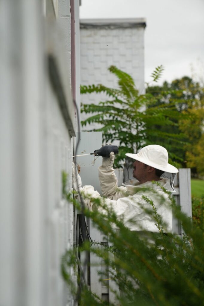 A pest control technician in a bee suit removing a bee or wasp nest from the side of a building for Complete Pest Solutions of Canton in North Canton, OH.