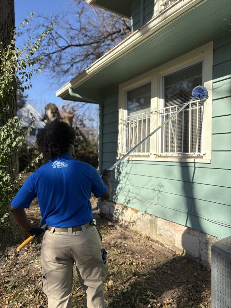 A Blue Beetle Pest Control technician removing cobwebs and nests from house eaves in Kansas City, MO.