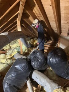 A technician in protective gear removing insulation from an attic for BeeCal Pest Management in Los Angeles, CA